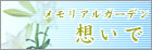 ybg쉀 z